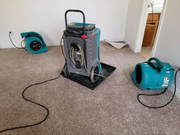 Best Carpet water damage restoration  in Pinellas Park, FL