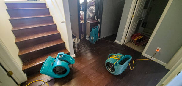 24/7 water damage repair in Pinellas Park, FL