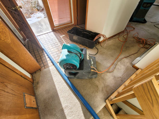 Best Flooded house restoration  in Pinellas Park, FL