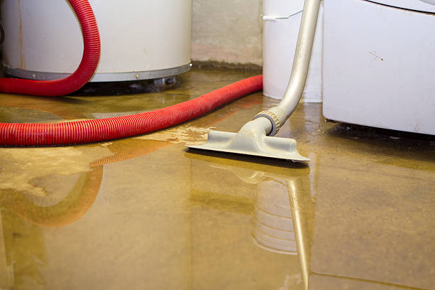 Best Water damage contractors near me  in Pinellas Park, FL