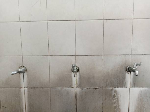 Best Water damage restoration near me  in Pinellas Park, FL