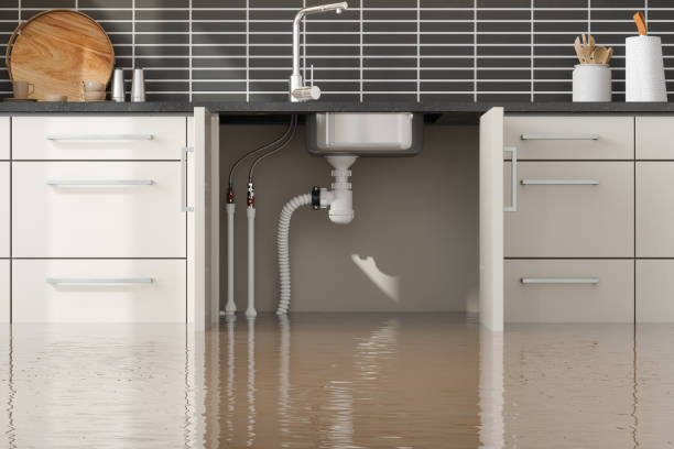 Pinellas Park, FL Water damage restoration Company