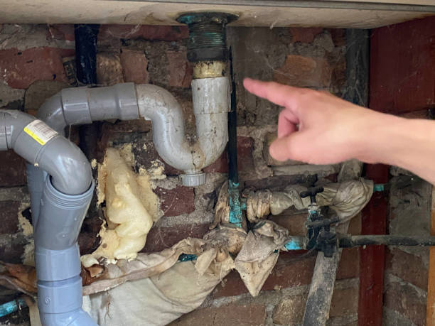 Pinellas Park, FL Water damage restoration Pros