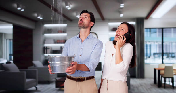 Trusted Pinellas Park, FL Water damage restoration Experts